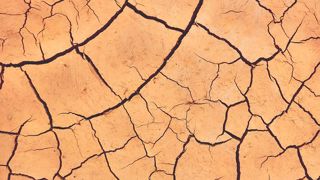 Les sénateurs proposent un plan d’adaptation de l’agriculture Les sénateurs proposent un plan d’adaptation de l’agriculture
