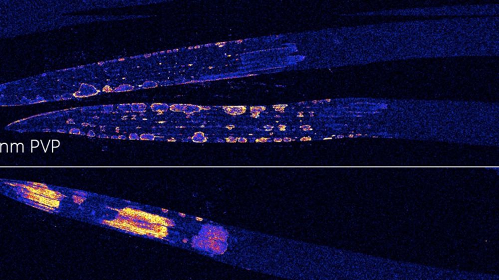 Une nouvelle voie pour les pesticides
