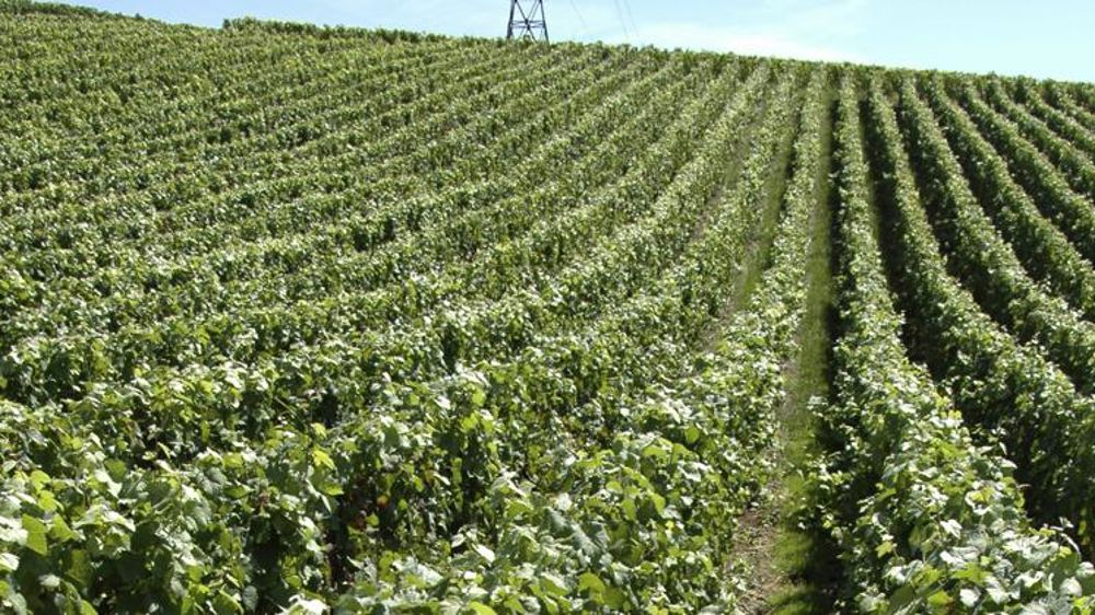 Six personnes renvoyées en procès à Reims