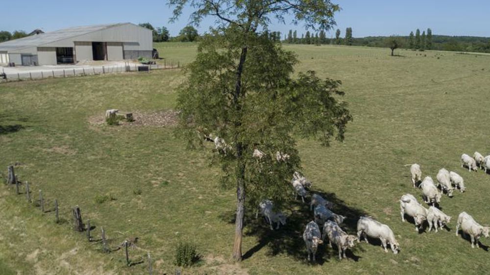 Les conditions d’octroi précisées