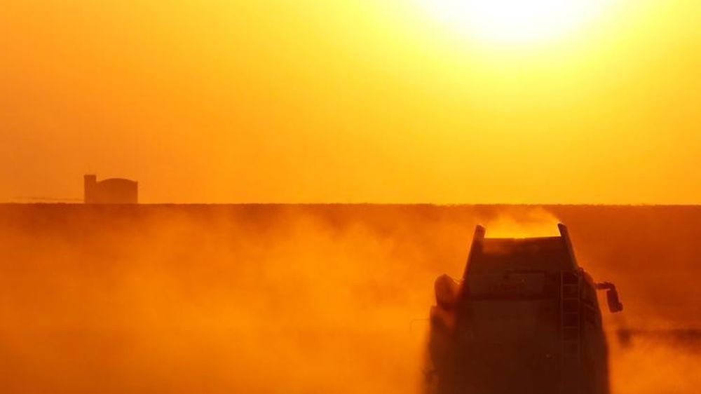La canicule échauffe les prix