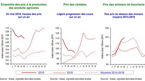 Des prix en progression sur un an Des prix en progression sur un an