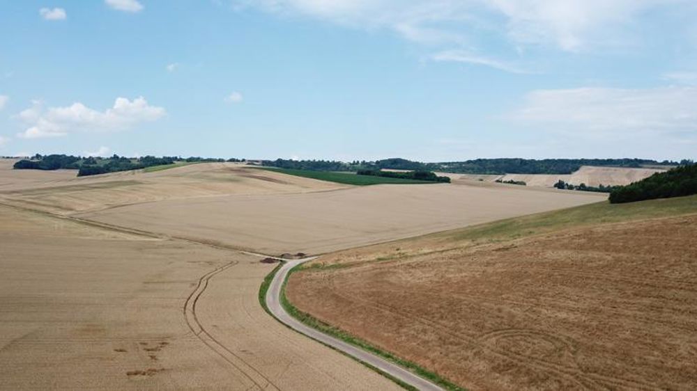 L’OCDE veut réorienter les subventions à l’agriculture vers le climat