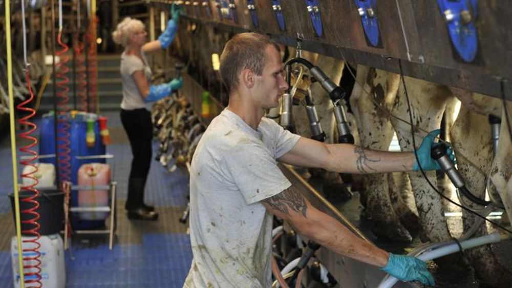 La collecte renoue avec la croissance