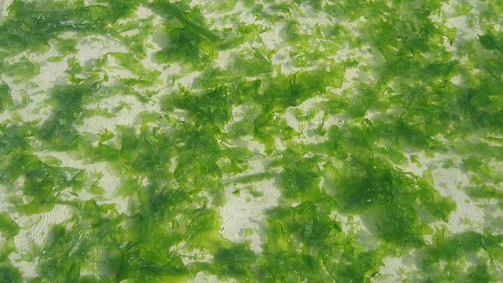 Une association réclame des sanctions