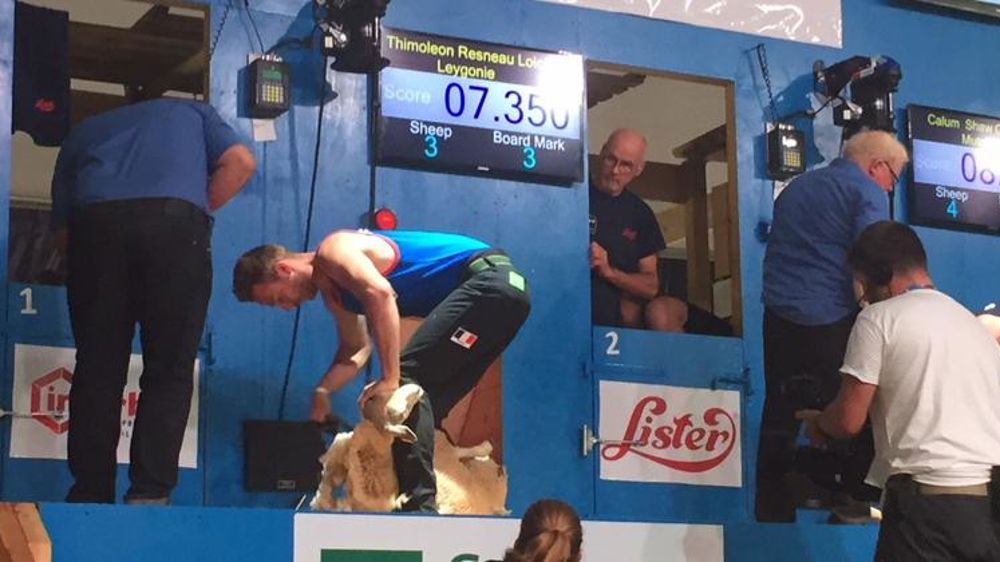 Belle prestation des Français