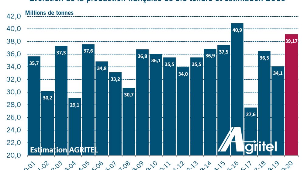 La récolte française atteindrait 39,17 millions de tonnes