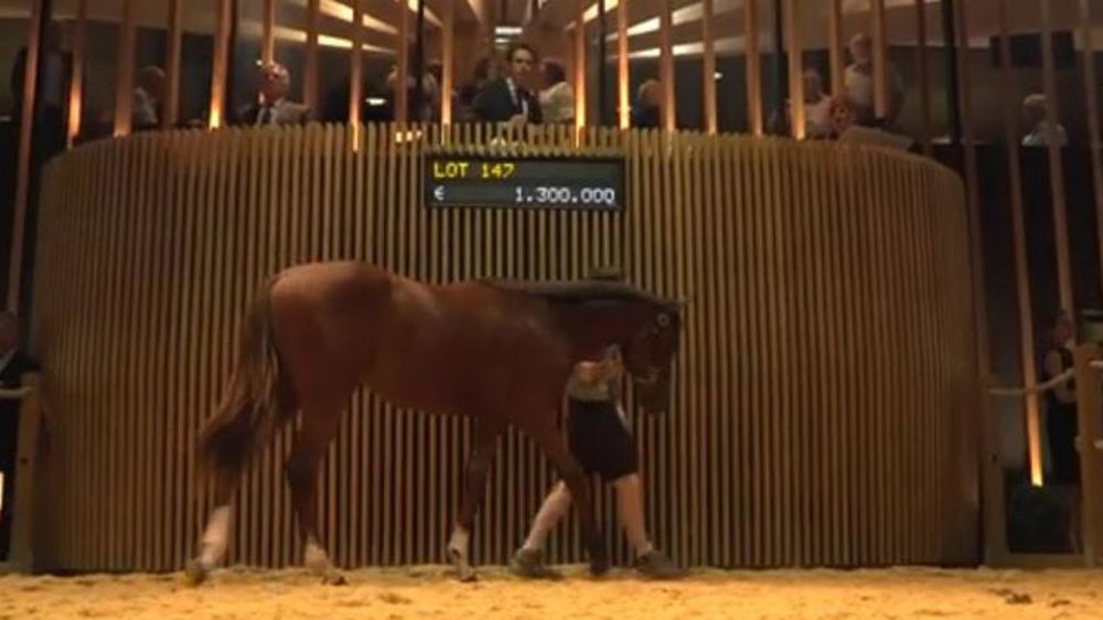 Un yearling vendu 1,6 million d’euros