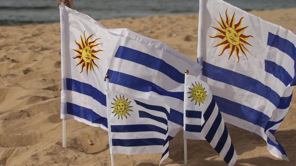 « Veillées » véganes devant des abattoirs