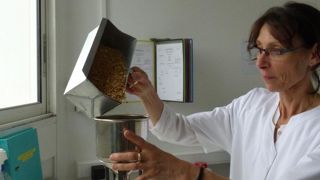 2019, un cru de qualité pour le blé tendre 2019, un cru de qualité pour le blé tendre