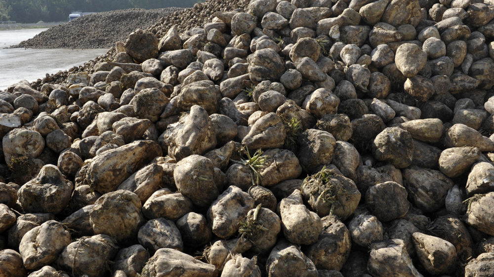 Un changement de statut qui ne plaît pas à la Coordination rurale
