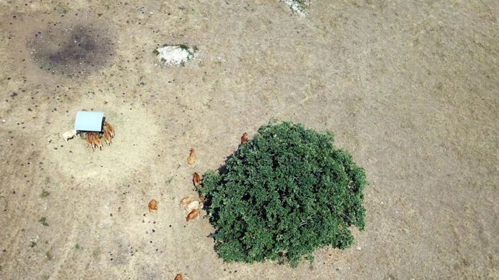 Ravitaillés en eau potable par camion-citerne