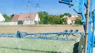 « On m’a obligé à traiter mon champ avec un insecticide » « On m’a obligé à traiter mon champ avec un insecticide »