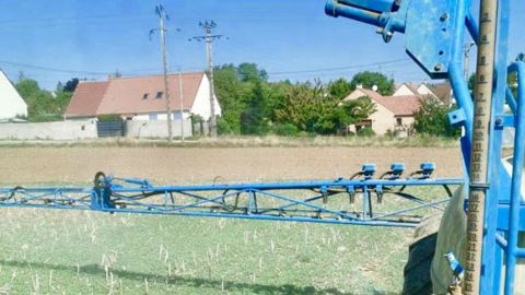 « On m’a obligé à traiter mon champ avec un insecticide »