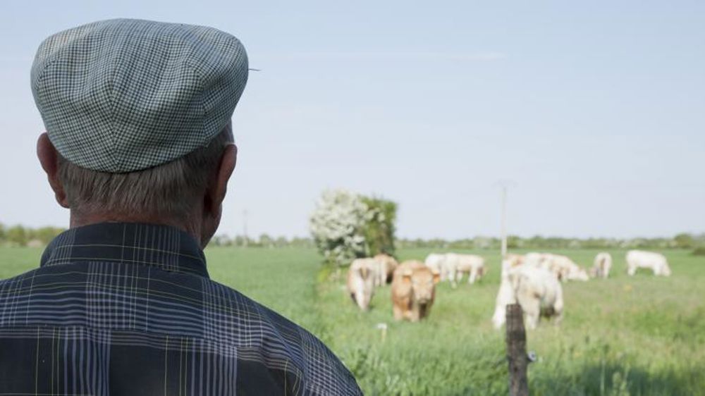 La Coordination rurale attend une revalorisation des pensions