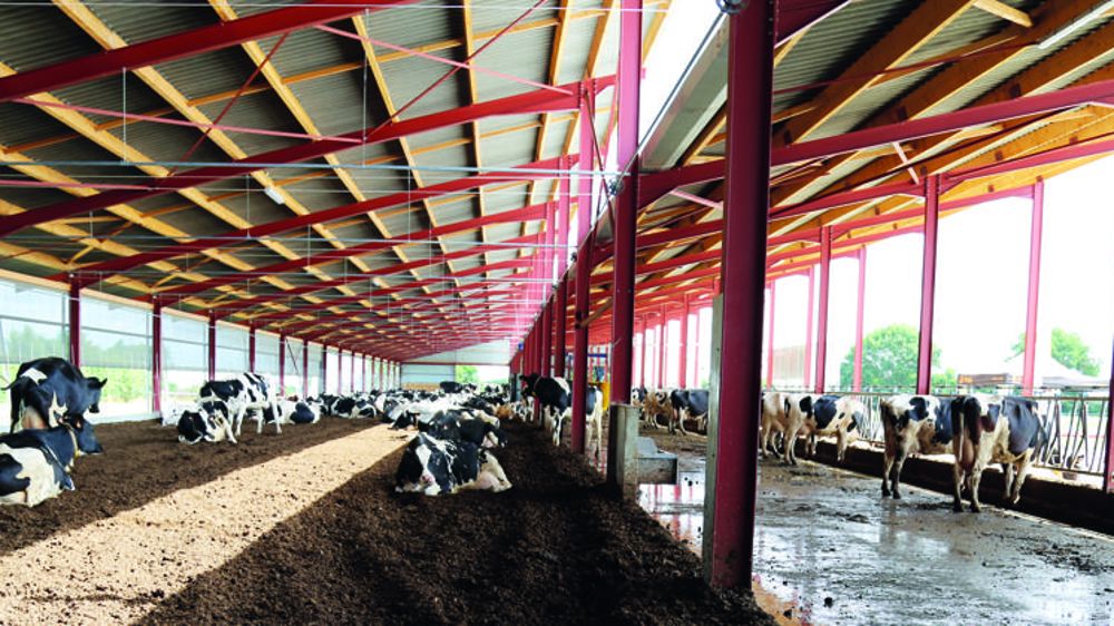 Concilier le bien-être des bovins et de l’éleveur