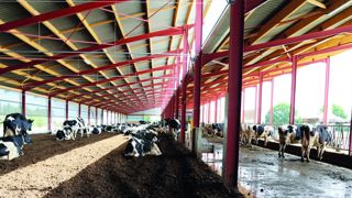 Concilier le bien-être des bovins et de l’éleveur Concilier le bien-être des bovins et de l’éleveur