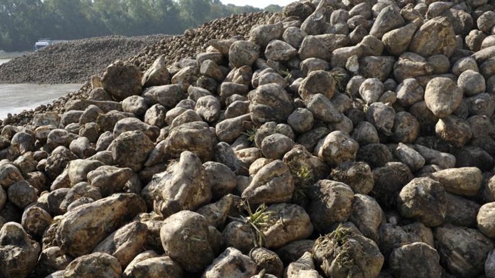 Unigrains à la rescousse de Cristal Union