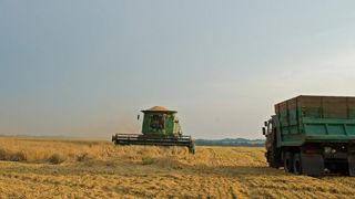 L’Ukraine prête à vendre ses terres agricoles L’Ukraine prête à vendre ses terres agricoles