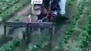 Désherbage à moto Désherbage à moto