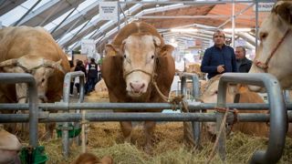 La sécheresse cristallise les inquiétudes La sécheresse cristallise les inquiétudes