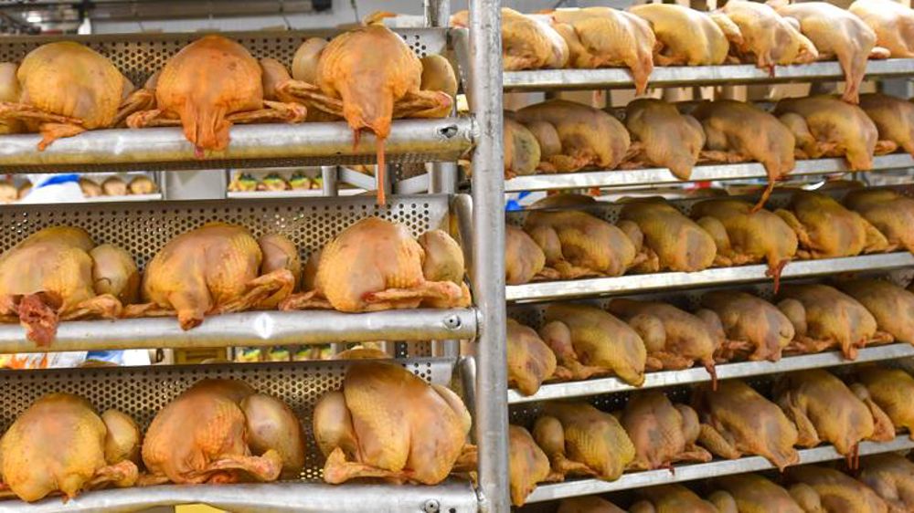 Les abattages progressent