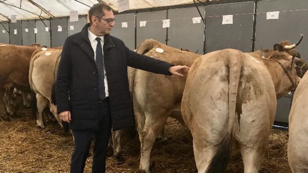 « Inscrire le coq et les cloches dans un patrimoine »