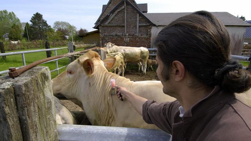 Le point sur les mouvements d’animaux