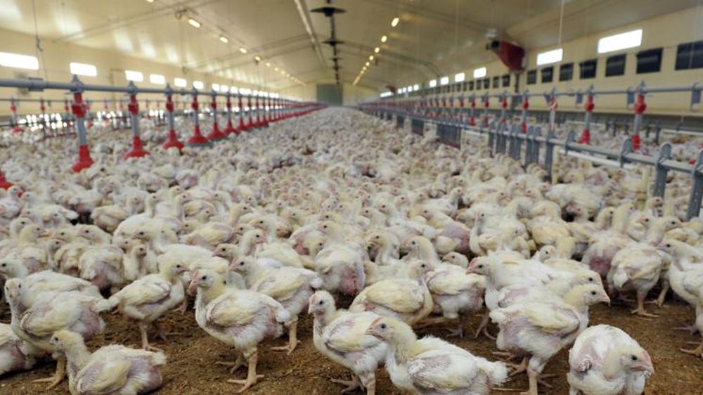 Lancement de la visite sanitaire obligatoire 2018