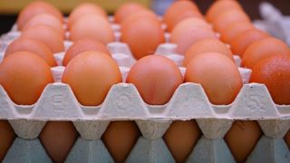 Le prix de l’œuf s’est envolé Le prix de l’œuf s’est envolé