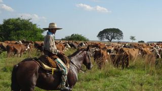 Négociations à haut niveau fin janvier entre Bruxelles et le Mercosur Négociations à haut niveau fin janvier entre Bruxelles et le Mercosur