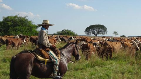 Négociations à haut niveau fin janvier entre Bruxelles et le Mercosur Négociations à haut niveau fin janvier entre Bruxelles et le Mercosur