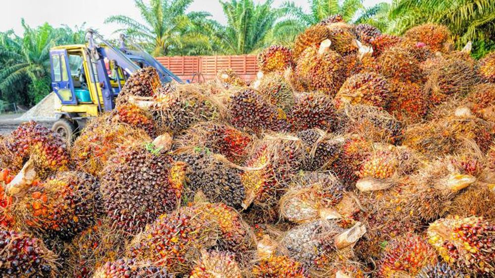 La Malaisie prête à attaquer l’Europe à l’OMC