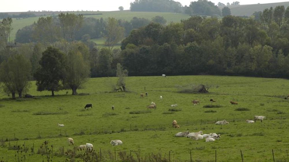 L’horizon s’assombrit