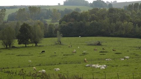 L’horizon s’assombrit L’horizon s’assombrit