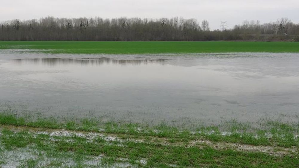 Un mois de janvier hors norme