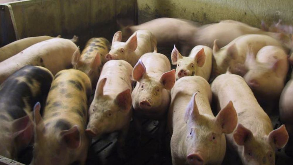 La concurrence sera forte en 2018