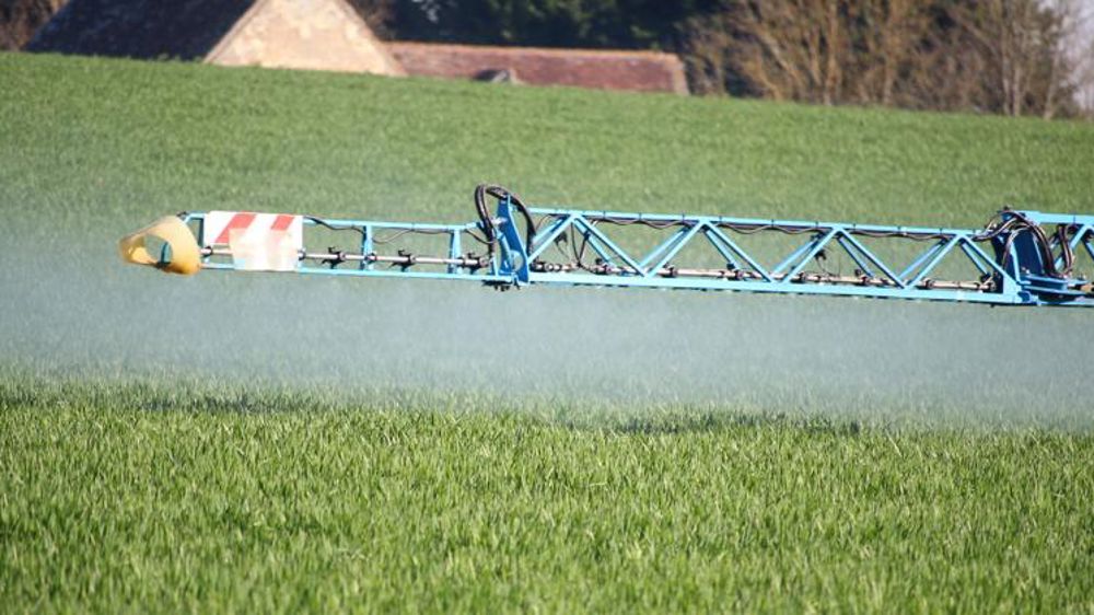 Les professionnels ont jusqu’au 9 mars pour rendre leur copie