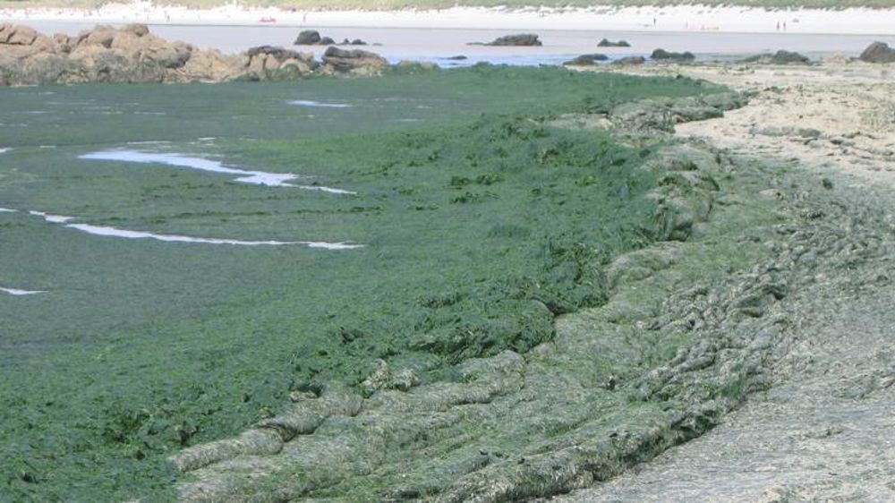 L’État condamné à verser plus de 500 000 euros à Saint-Brieuc