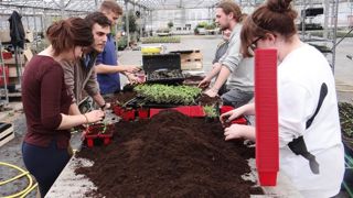 La conduite d'une exploitation en conditions réelles, avec tous ses aspects, sert de support pour les activités pratiques des formations horticoles de l'EPL. Ici, des élèves en bac professionnel sur l'exploitation du lycée de Dardilly.PHOTO : CLAUDE THIERY