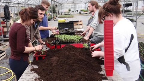 La conduite d'une exploitation en conditions réelles, avec tous ses aspects, sert de support pour les activités pratiques des formations horticoles de l'EPL. Ici, des élèves en bac professionnel sur l'exploitation du lycée de Dardilly.PHOTO : CLAUDE THIERY