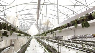 Les rafales ont entièrement arraché la toiture de cette chapelle, ouvrants compris. ©GBV