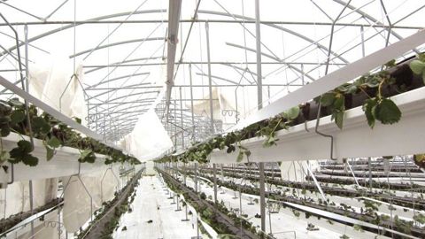 Les rafales ont entièrement arraché la toiture de cette chapelle, ouvrants compris. ©GBV