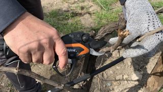 Les sécateurs électroniques C 35 et C 45 sont les dernières innovations de Pellenc. Coupe optimisées, moteurs et batteries améliorés, ces appareils offrent une plus grande autonomie et une plus grande sécurité que leurs prédécesseurs. ©F.Arnould