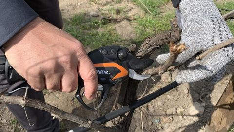 Les sécateurs électroniques C 35 et C 45 sont les dernières innovations de Pellenc. Coupe optimisées, moteurs et batteries améliorés, ces appareils offrent une plus grande autonomie et une plus grande sécurité que leurs prédécesseurs. ©F.Arnould