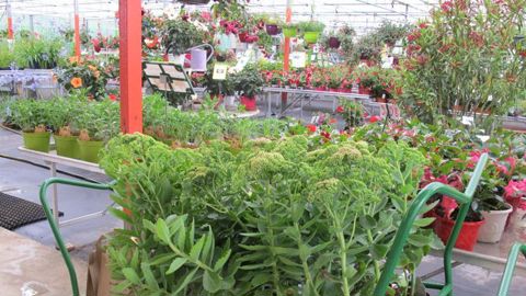 Les producteurs du réseau de producteurs détaillants HPF se retrouvent en septembre à Saint-Galmier (42). Ils évoqueront, entre autres, l’emploi et l’inflation. ©P.Fayolle