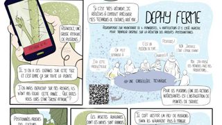 La BD vulgarise des informations techniques ou scientifiques, ici par exemple la lutte raisonnée (projet réalisé pour les Serres de Butry - 95). ©Les Serres de Butry La BD vulgarise des informations techniques ou scientifiques, ici par exemple la lutte raisonnée (projet réalisé pour les Serres de Butry - 95). ©Les Serres de Butry