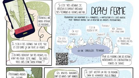 La BD vulgarise des informations techniques ou scientifiques, ici par exemple la lutte raisonnée (projet réalisé pour les Serres de Butry - 95). ©Les Serres de Butry