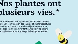 #nosplantes - Une campagne de la FNPHP et des producteurs français des végétaux d’ornement.