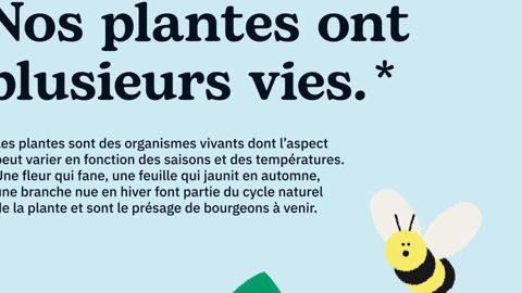 #nosplantes - Une campagne de la FNPHP et des producteurs français des végétaux d’ornement.